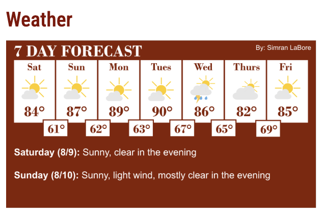 Sample Forecast Layout